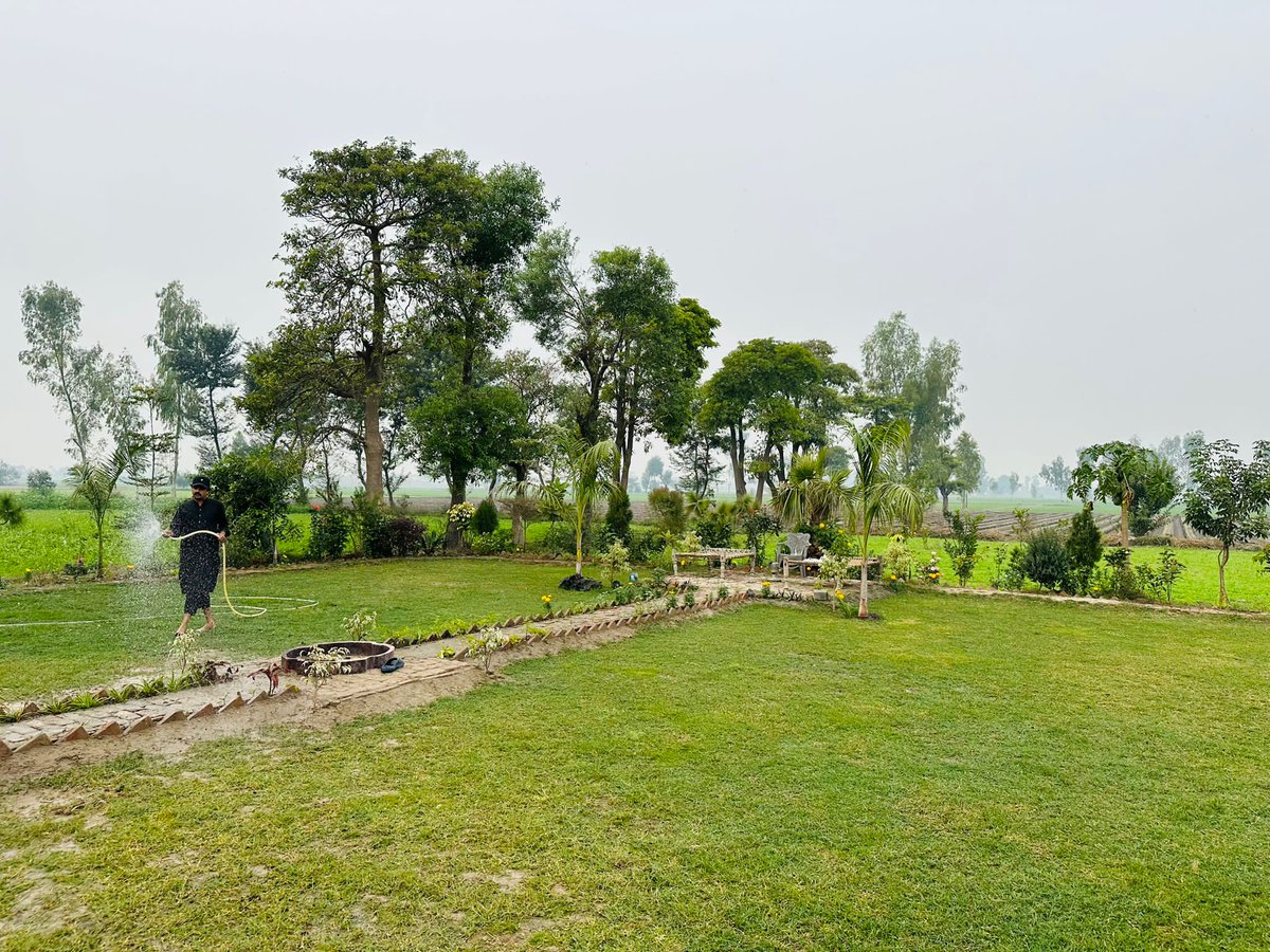 Virk_1947's tweet photo. Sunday Vibes At Virk Agri Farm🌿🌲☘️ https://t.co/EKuv4S4HHg
