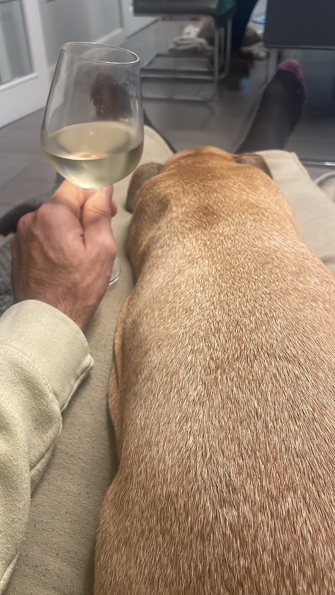 @siwright tweet media