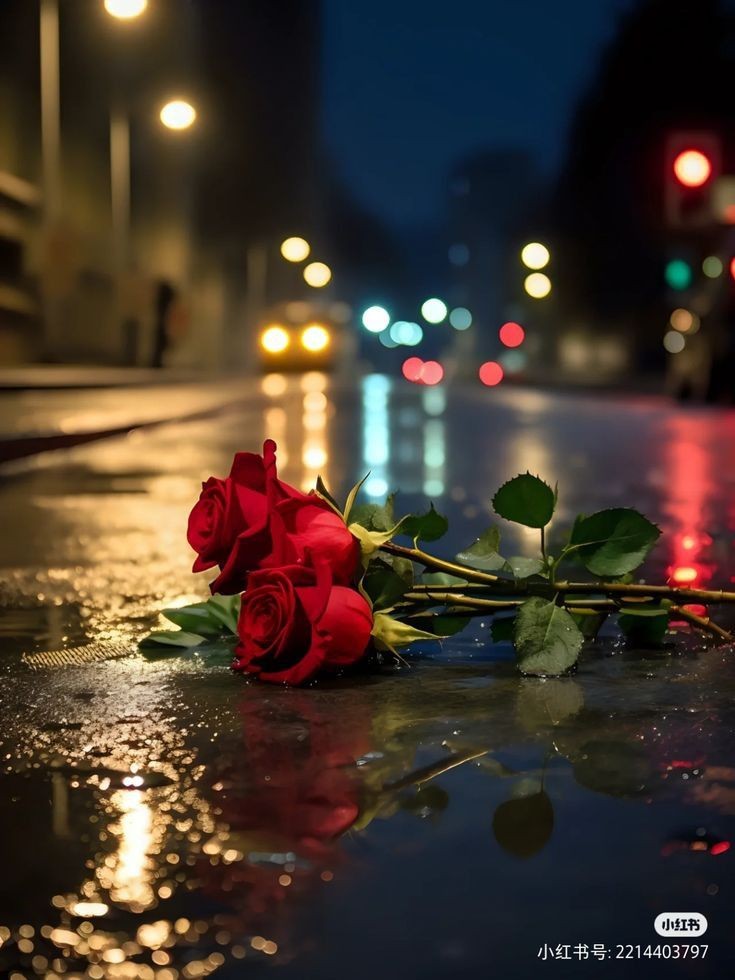 You are no richer than what you carry in your mind, no stronger than what you hold in your heart, and no purer than what you harbor in your soul.

The world can break your heart but never allow it to wound your soul ...

#life #lifelessons