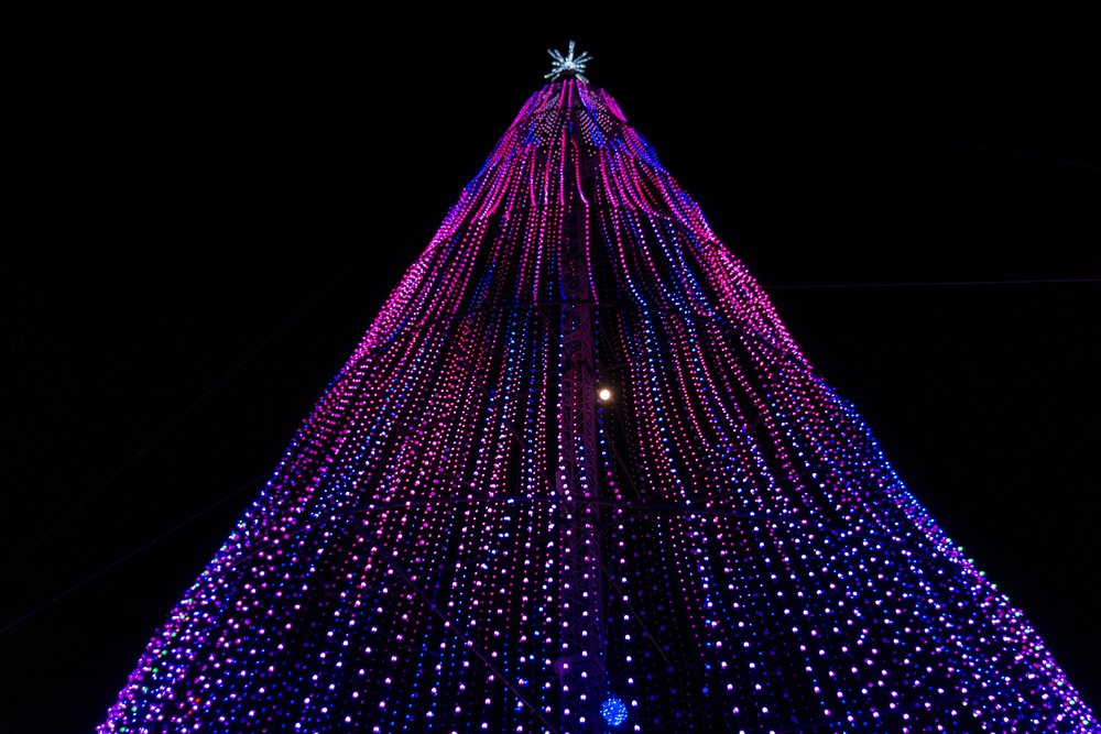 Canada's tweet photo. #Illumi nocturnal adventure by #Cavalia’s Dazzling World of Lights is back! The world’s largest multimedia, sound and light show mesmerizes kids and adults with larger-than-life structures and millions of lights. Will you go to the #Laval, #Toronto or #Terrebonne location?✨🎄 https://t.co/KYNQgDIPgt