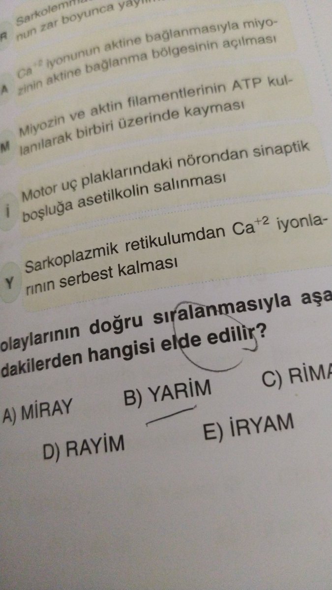 ablackwitch7's tweet photo. Ayt biyolojiyle savaşırken de aklıma gelemezsin hayır ya cncjcjdjdmdhdkdh https://t.co/gTnlbWhlS7