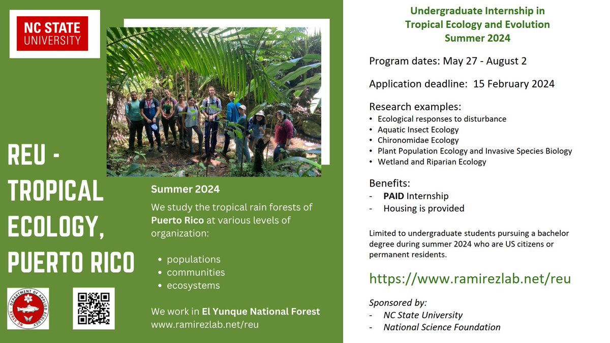 Summer undergraduate internship in Puerto Rico - For those interested in doing research in Tropical Ecology and Evolution. Our summer REU program will accept applications from December 1st to February 15. Paid Internship! ramirezlab.net/reu #ElVerde_REU
