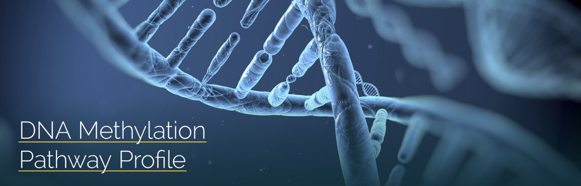 caymannutrition's tweet photo. More than 50% of people are affected by genetic variants in the methylation pathway.
The MethylDetox profile includes suggestions for specific nutrient needs and available Dietitian guidance. Learn more at https://t.co/LWeMRhzE3u https://t.co/XMB0L3IDZY