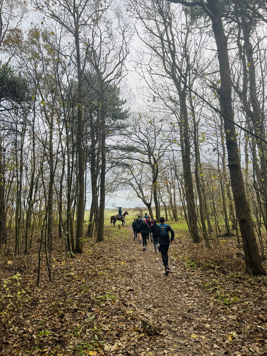 Bjorn Schipper tweet media