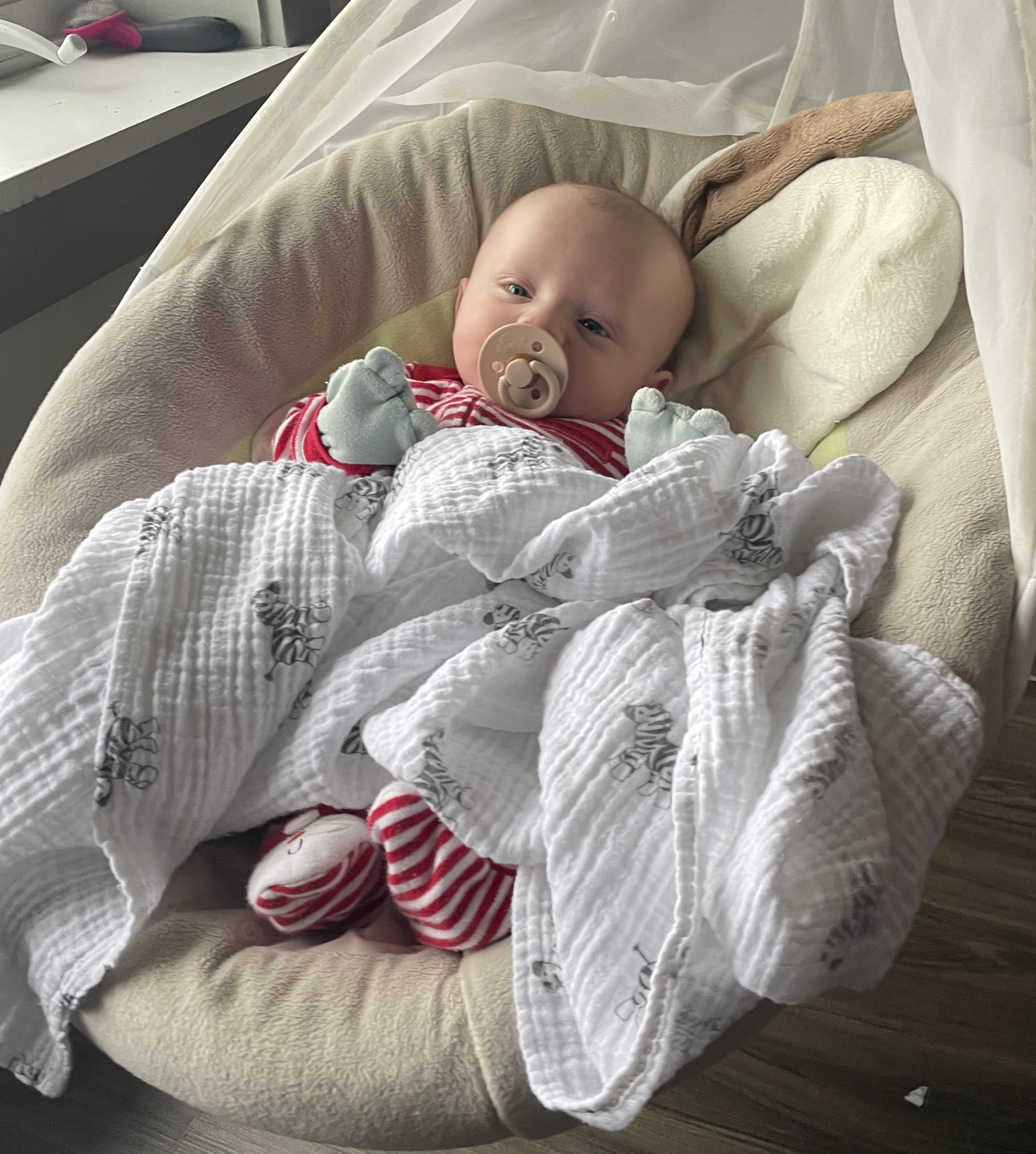 Happy 2 months old today to our little lightning Jack! https://t.co/1t70DuwZtq
