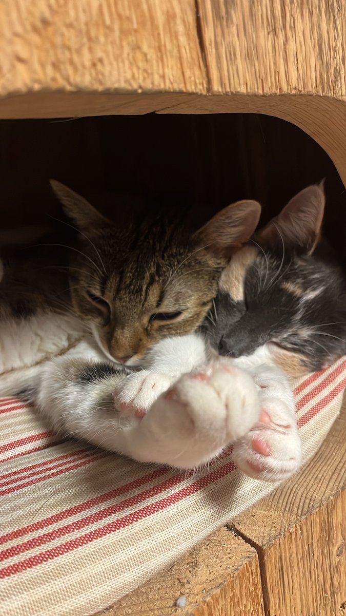 ehhh hallo ik kan dit niet aan??