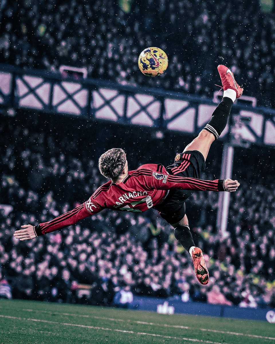 UTDPIC tweet media