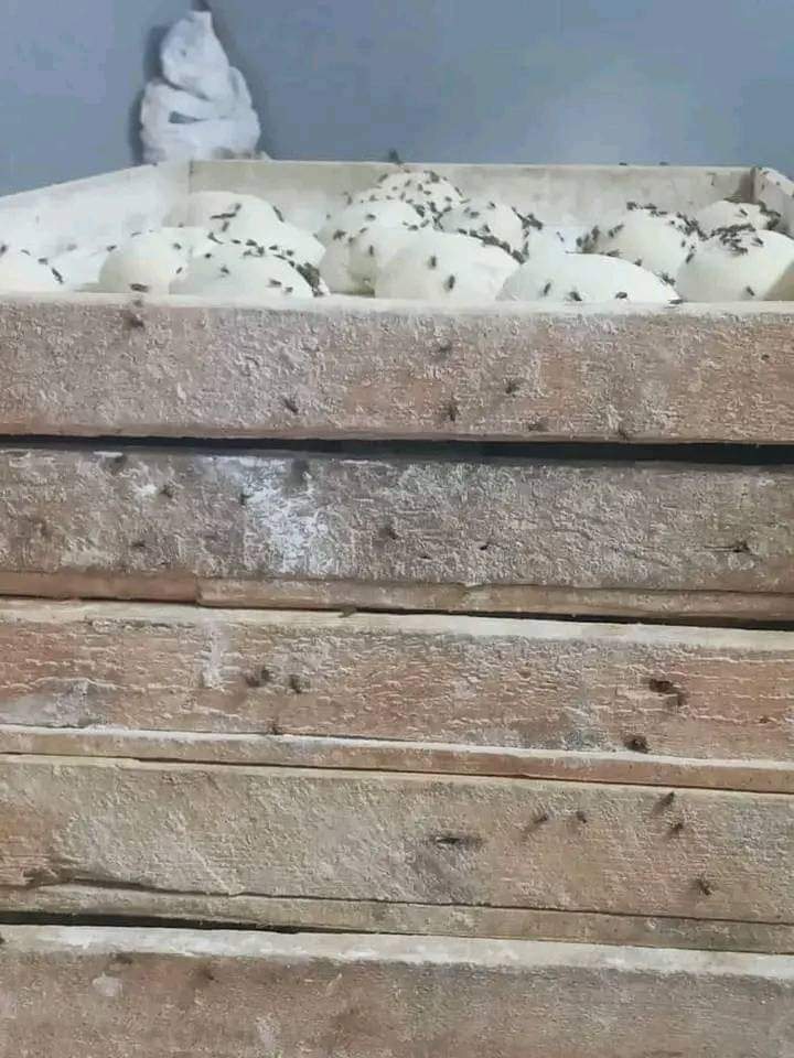 #صحبي شغال فرن رسلو لي😲