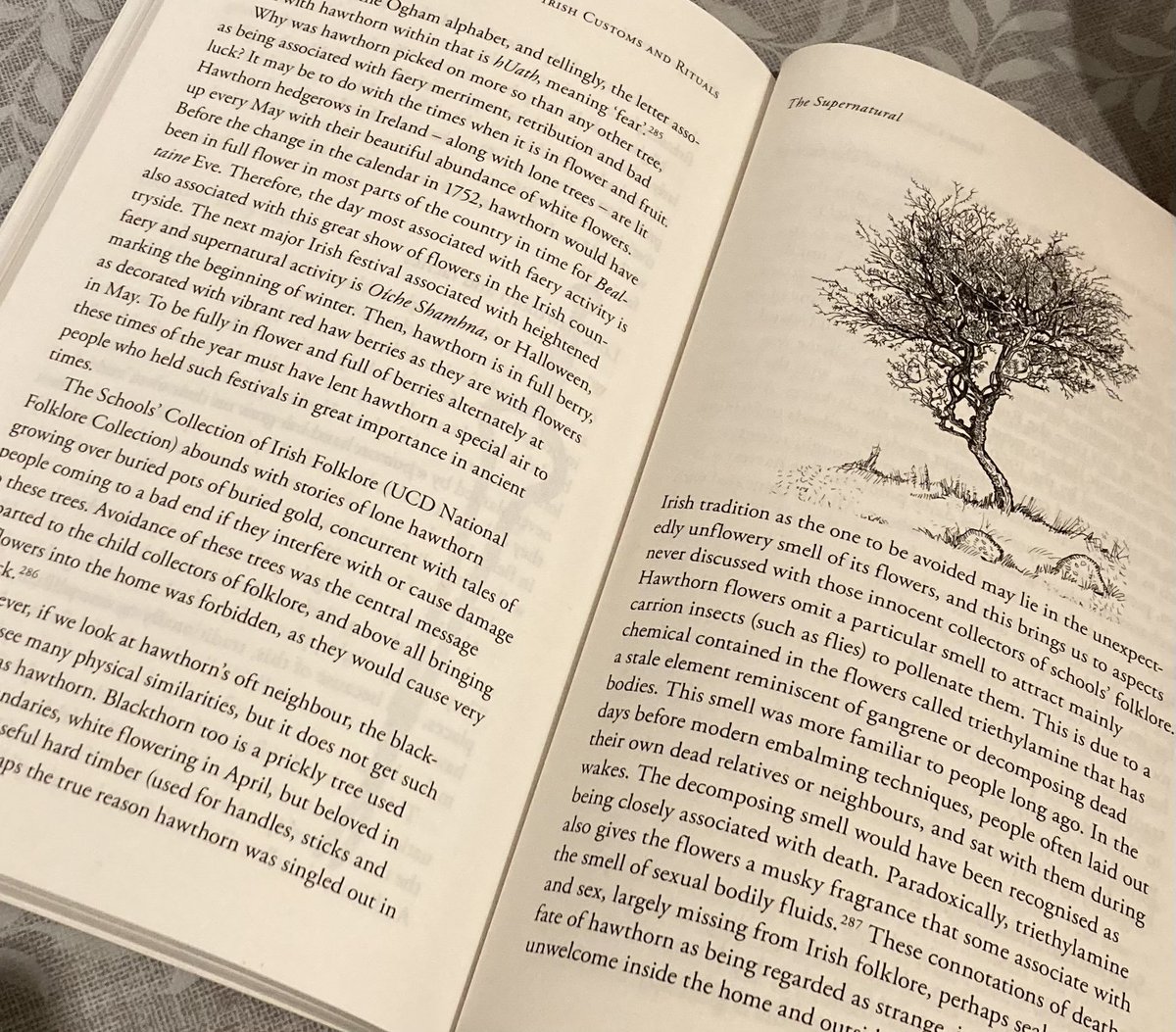 anniewestdotcom's tweet photo. Exhibit A: This is a wonderful and interesting historical/reference book, written and Illustrated by the impossibly brilliant @marion_mcgarry . Top #design. Excellent #illustration. If there were such a thing as a standalone Illustration/Design Award Category in #APIBAs https://t.co/qWNmCZzbkm