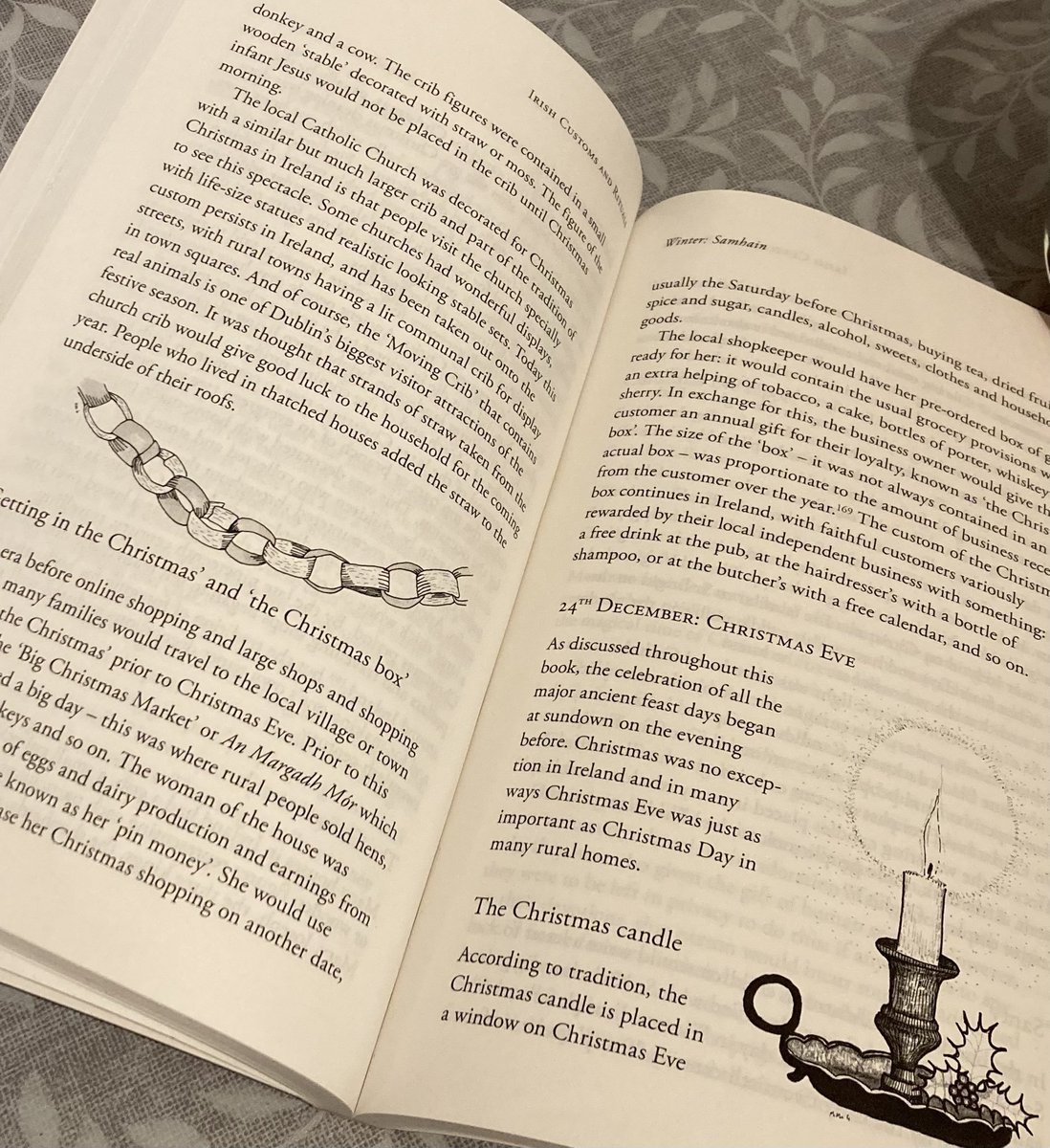 anniewestdotcom's tweet photo. Exhibit A: This is a wonderful and interesting historical/reference book, written and Illustrated by the impossibly brilliant @marion_mcgarry . Top #design. Excellent #illustration. If there were such a thing as a standalone Illustration/Design Award Category in #APIBAs https://t.co/qWNmCZzbkm
