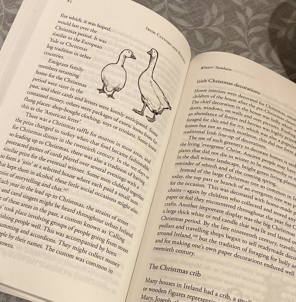 anniewestdotcom's tweet photo. Exhibit A: This is a wonderful and interesting historical/reference book, written and Illustrated by the impossibly brilliant @marion_mcgarry . Top #design. Excellent #illustration. If there were such a thing as a standalone Illustration/Design Award Category in #APIBAs https://t.co/qWNmCZzbkm