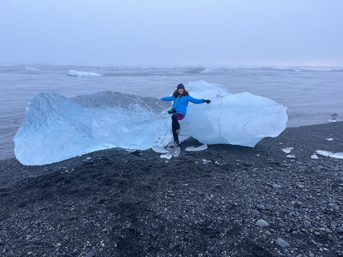 Judith Anton tweet media