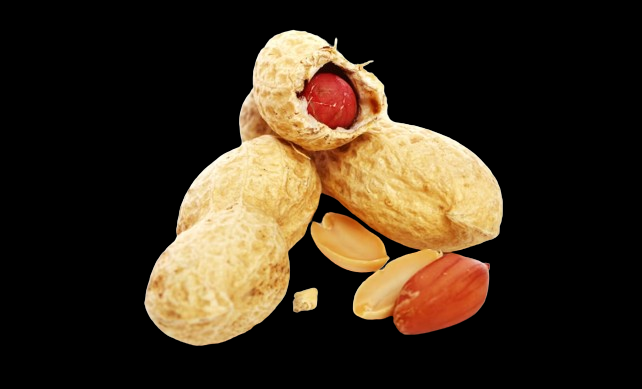 DriedFoods's tweet photo. PEANUT
https://t.co/7aVOBNGLmv
#Peanut https://t.co/dsoHwi8WfS