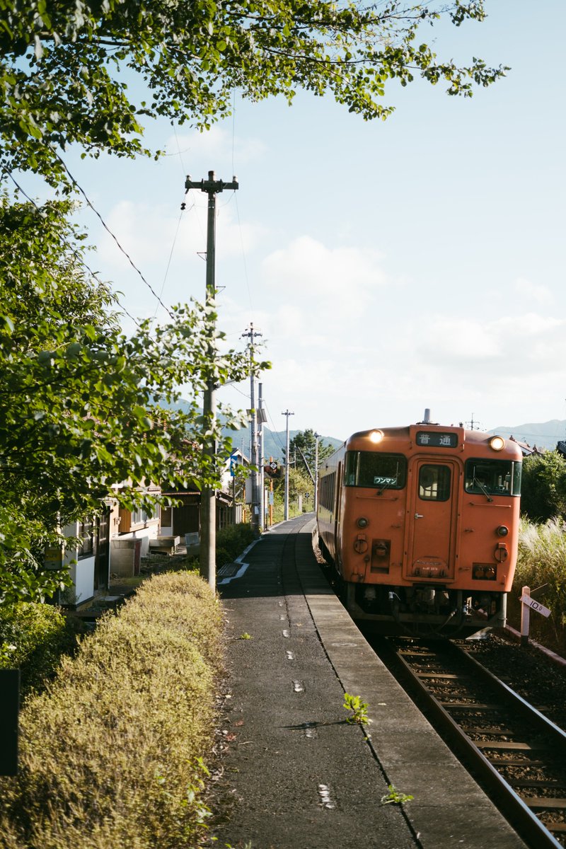 えぬ (@enu0621) on Twitter photo 2023-11-26 12:32:48 BLACK FRIDAY セールで安くなっていたので写真集と一緒に購入。早速試してみたけど、FUJIFILMのクラシックネガとの相性が良すぎるな。個人的な好みはSHIORIpreset。 #USETSUpresets BLACK FRIDAY セールで安くなっていたので写真集と一緒に購入。早速試してみたけど、FUJIFILMのクラシックネガとの相性が良すぎるな。個人的な好みはSHIORIpreset。 #USETSUpresets