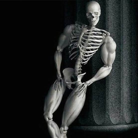 WITHERINGSCYTHE's tweet photo. Seductive Sunday?
No.
Sigma Skeleton Sundays
#SigmaSunday https://t.co/dVVPQ0Pv40