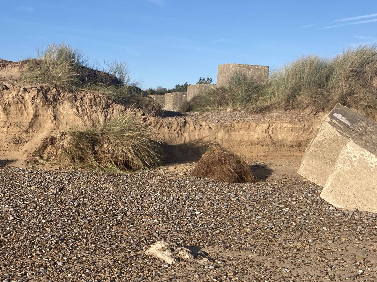 Stop Sizewell C tweet media