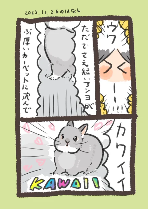 ウワーーーー!!!!

#うさぎのいる生活 