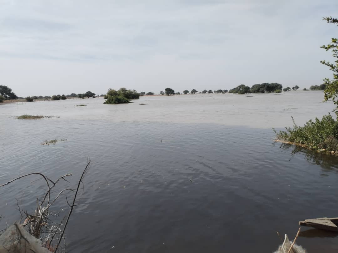 HumanityPurpose's tweet photo. #Cameroun
Les eaux commencent à monter dans le #LogoneEtChari et le #MayoDanay. Le phénomène de la montée des eaux est périodique et provoque chaque année des inondations et des destructions des maisons et plantations.
@MinaderCm @OchaCameroon @CroixRougeCam @developcameroon https://t.co/GYc6TXJDnn