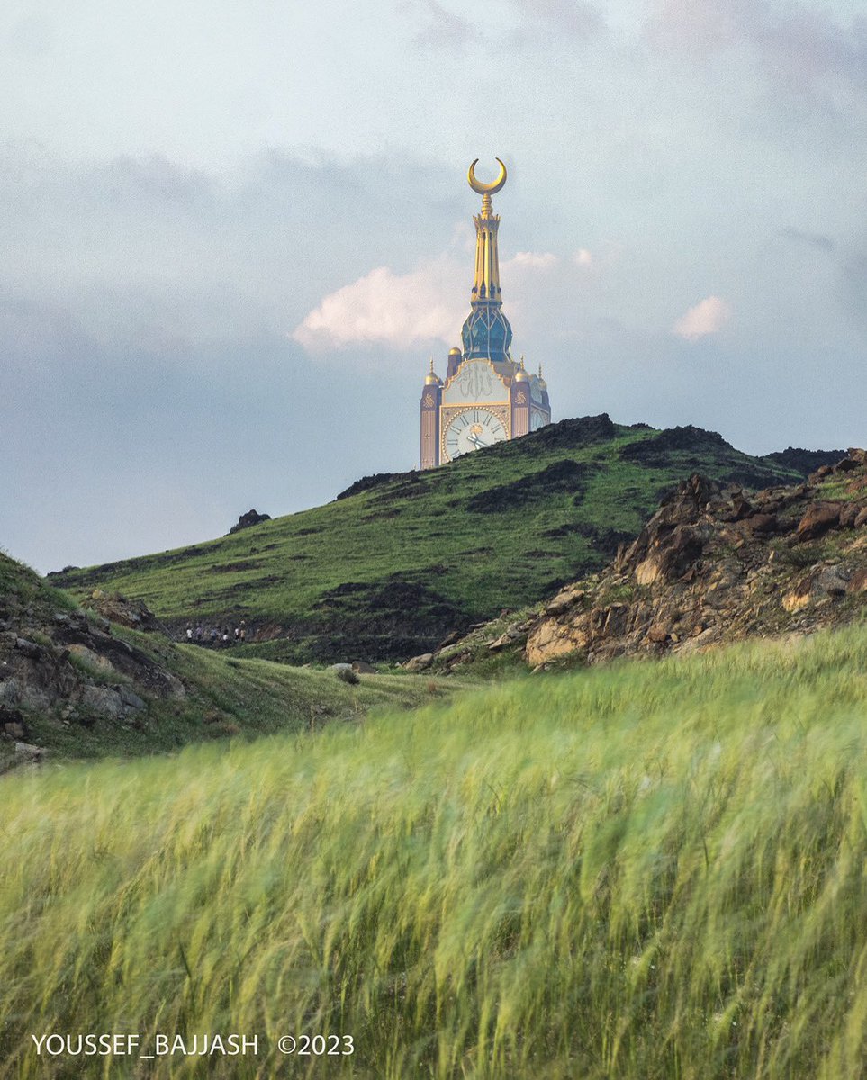 يوسف بجّاش Youssef Bajjash tweet media