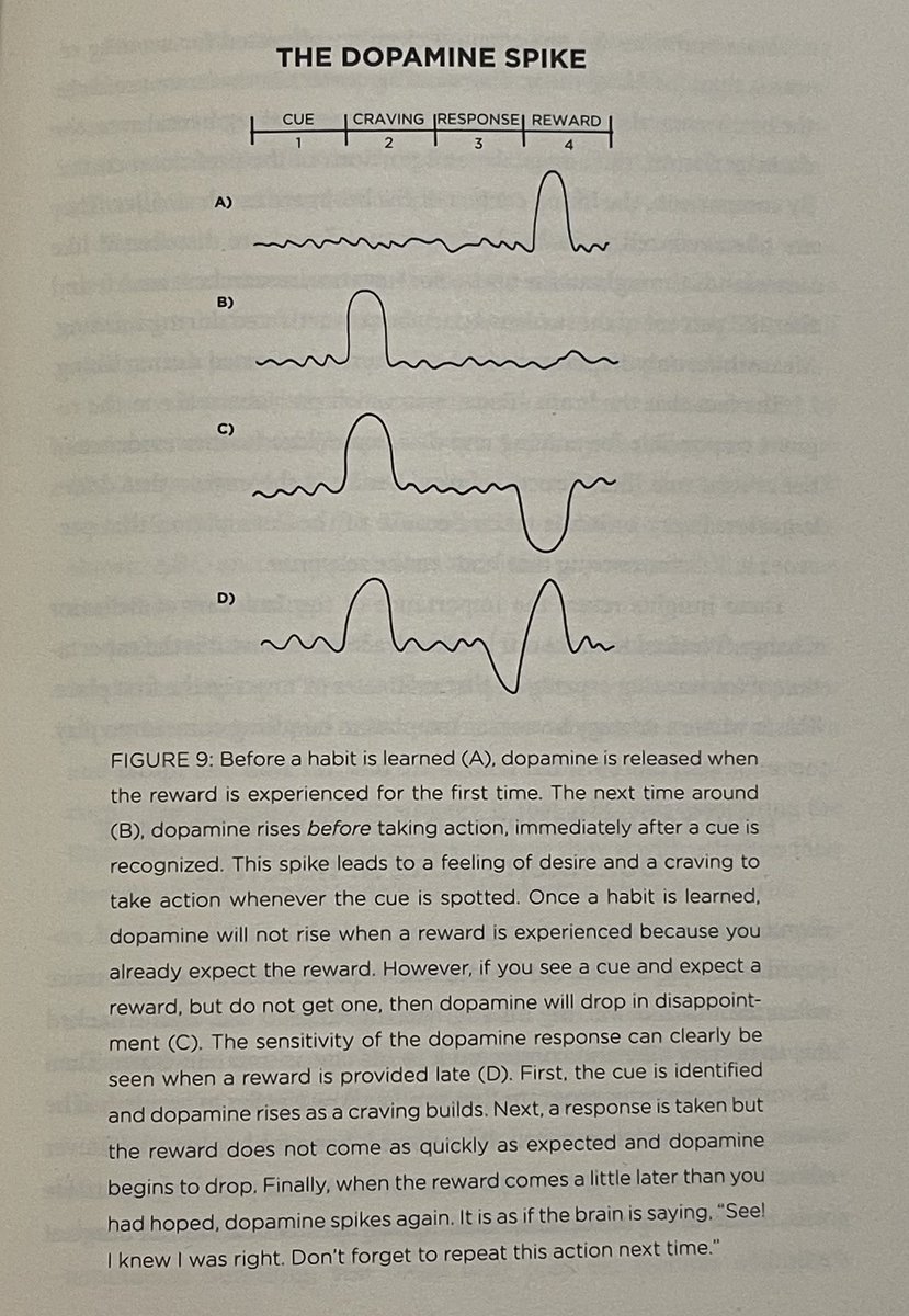 iambegench's tweet photo. The Dopamine Spike - well explained 🏄‍♂️ #atomichabits https://t.co/V8yXRuZcks