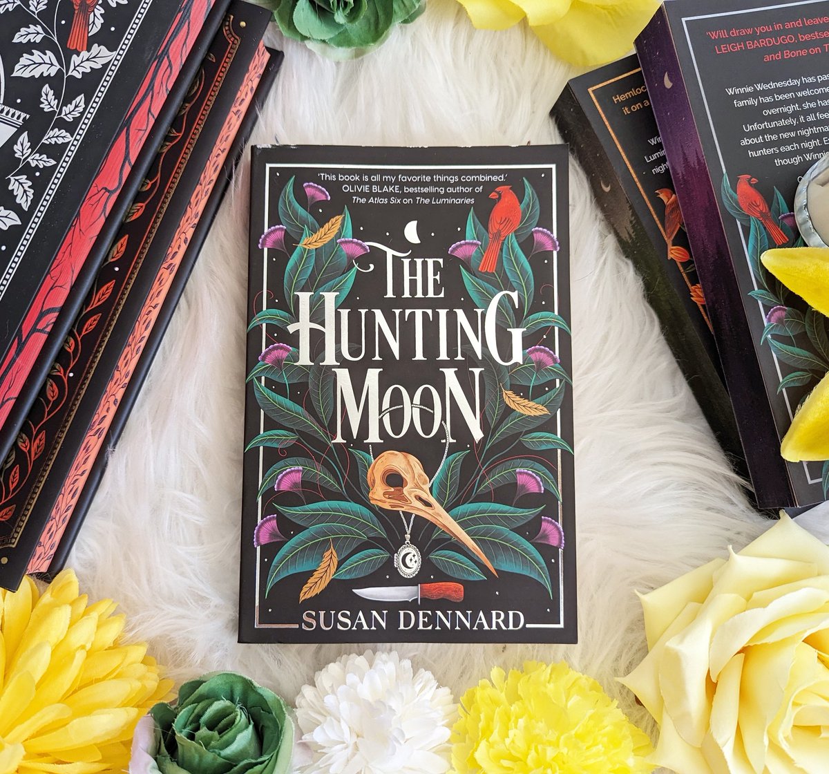 The amazing feeling when someone reads a book you've been recommending & loves it! 🥰 (It is 'The Luminaries' she's loving, but she's now ordering this sequel!) The Hunting Moon by @stdennard Thank you for my copy @BlackCrow_PR & @Daphne_Press 5🌟