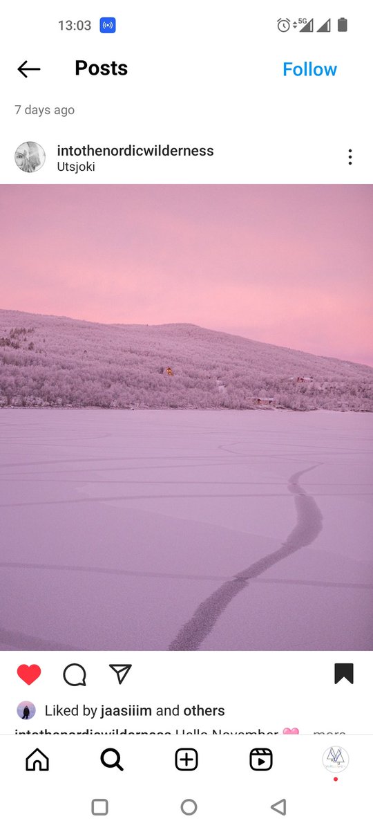 ~ Polar nights 'kaamos' have started in #Lapland from yesterday. The day with no sunrise will continue till next year in the middle of January. #Finland #utsjoki #polarnight 📷 IG - visitlapland/ intothenordicwilderness