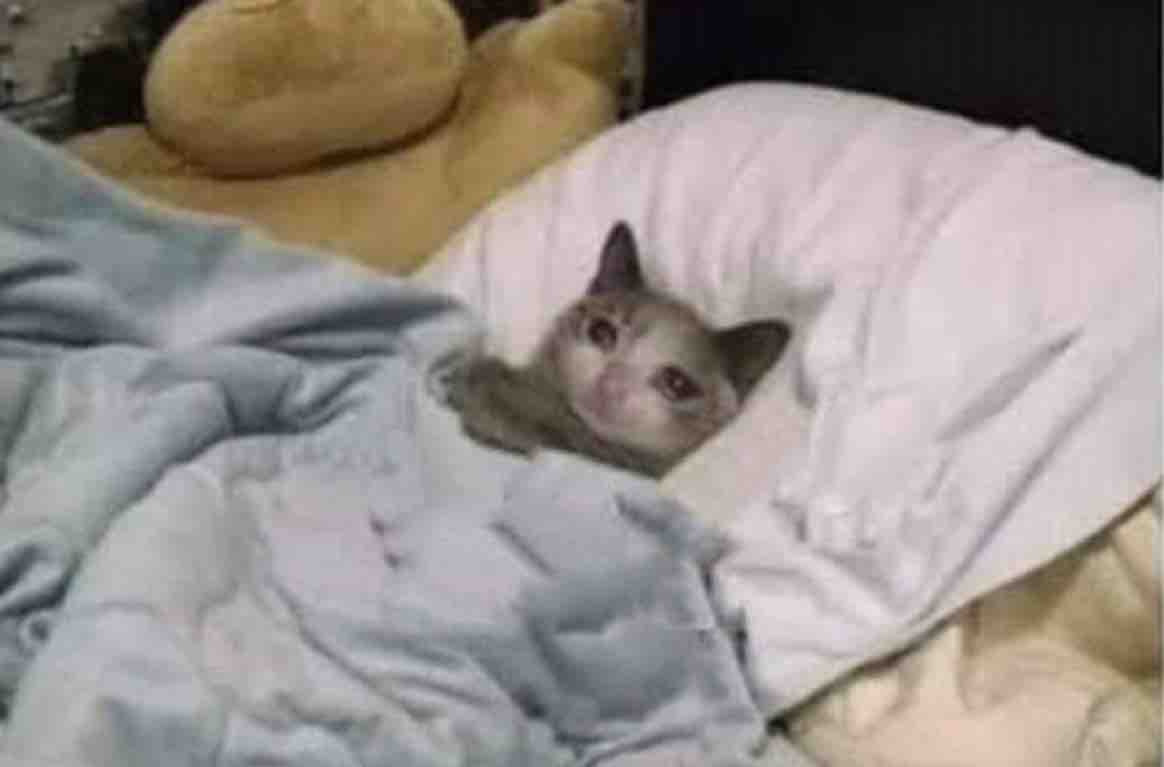 Guarromantico_'s tweet photo. Tú en domingo a las 7:00 am, diciendo que ibas a dormir más: https://t.co/3BLXdETZNh