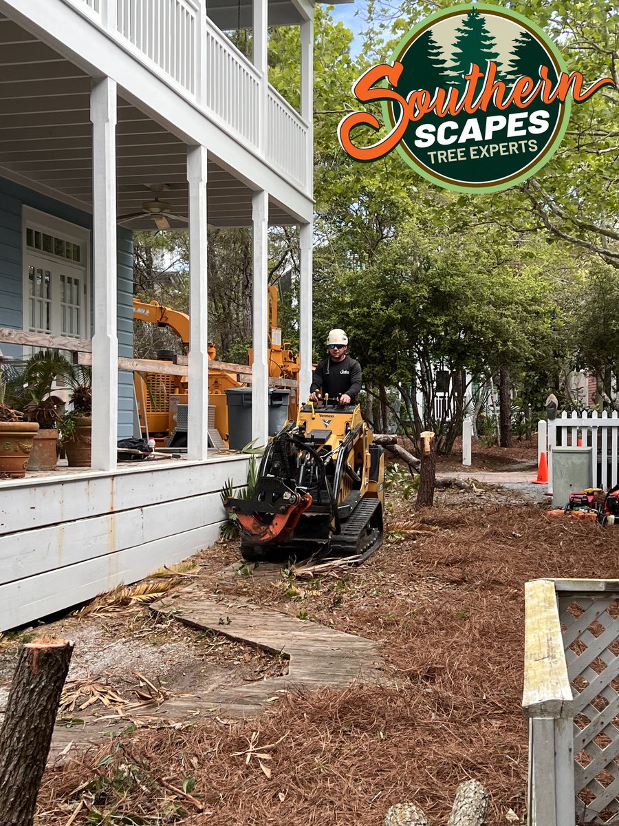 ScapesTree's tweet image. 🛠️💚 Safety at its finest! 🚧⚙️ Southern Scapes Tree Experts prioritizes safety during stump grinding. Our trained professionals use proper equipment and gear, ensuring a secure working environment. 🌳🏡 #SafetyMatters  #SouthernScapesTreeExperts s2tree.com/services/stump…