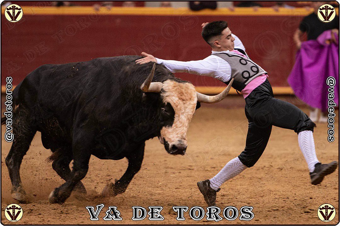 Enhorabuena a Sergio Pinel, recortador de San Sebastián de los Reyes, por ese merecido segundo puesto en la final del Campeonato de Recortes de la Comunidad de Madrid <a href="/trofeo_ferre/">Trofeo Esteban Ferre</a>. 

Tiene mucho recorrido por hacer y estoy convencido que conseguirá muchos éxitos más. 

¡Grande!