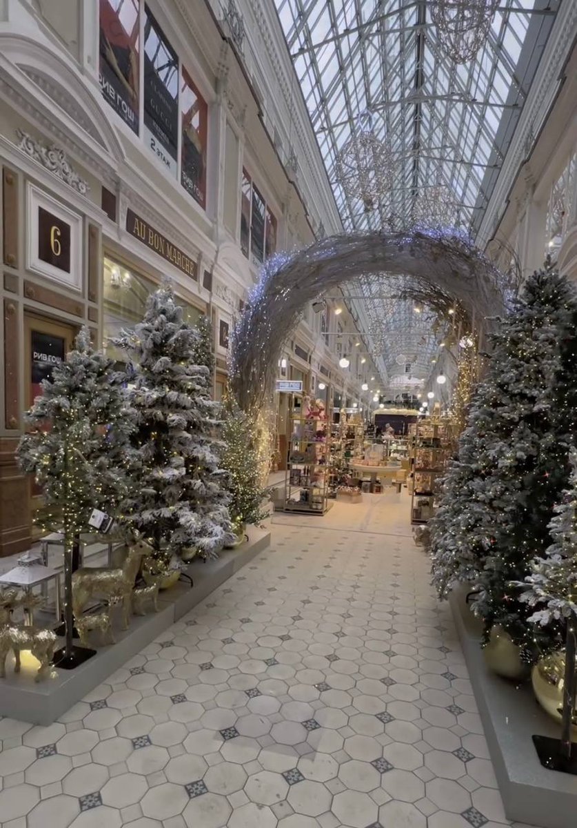 Wild_SPb's tweet photo. Новогодняя ярмарка открылась в Пассаже. 

Там разместили бесплатные фотозоны с новогодними декорациями. https://t.co/aUGitWONWV
