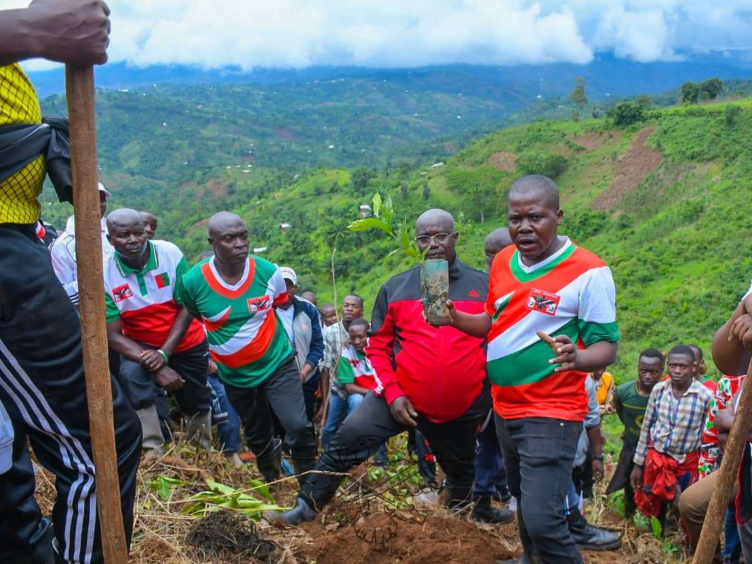 Bangeli9's tweet photo. #Burundi La campagne de plantation d’arbres, d’avocatiers et de caféiers a poursuivi ce 25/11, sur la colline #Gitaba de la zone #Murago, commune #Rumonge dans la province #Burunga. Travaux rehaussés par la présence du SGA du @CnddFdd Hon C. Nshimirimana
https://t.co/WkqcOWUCaV https://t.co/2laRScYkMJ