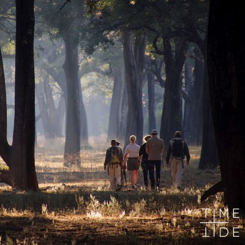 jrnyww's tweet photo. An African safari - so many facets. Incredible service and luxury, wide open spaces and the feeling of freedom. Walks in the bush where your senses come alive, looking, hearing, smelling, feeling, aware of the environment around you - because they're all aware of you there :) https://t.co/kAxJFYCrJg