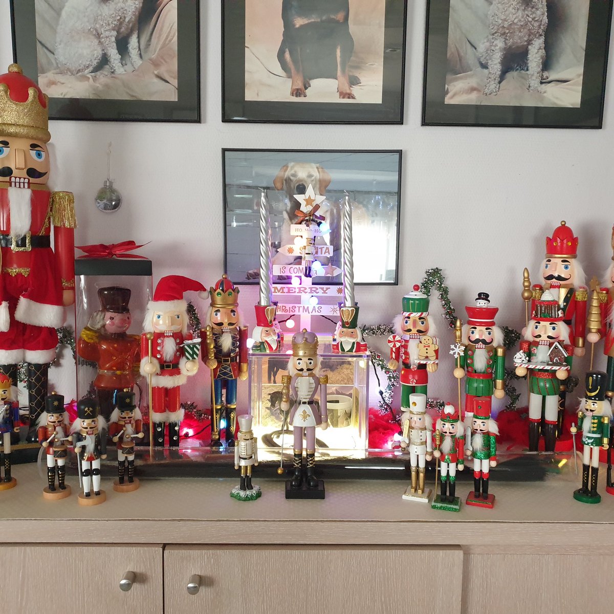 Cathy B (@catbelgium) on Twitter photo 