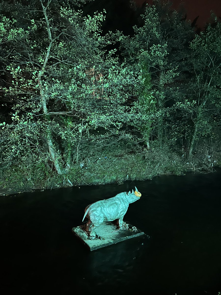 juliaacoll's tweet photo. Night walk https://t.co/eCYoDgbx7q