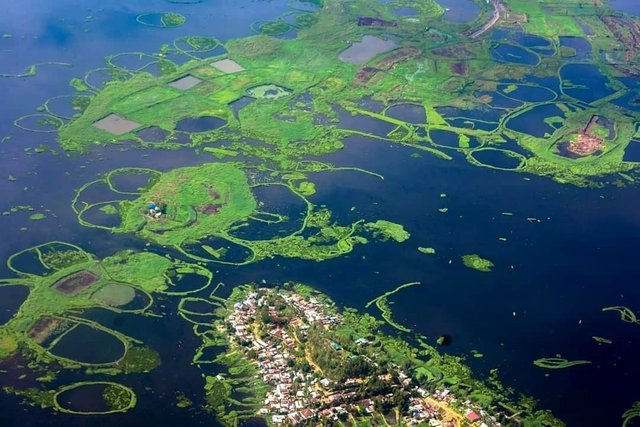 Govt. of Manipur has expressed its reservations to the Centre over a hydro-electric modernization plan in the state’s famous Loktak Lake, saying it could be detrimental to Sangai deer.

Loktak Lake:

1. It is located about 40 kilometers south of Imphal in Bishnupur district,