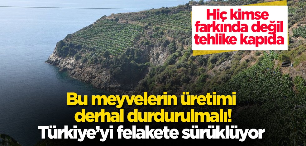 yeniakit's tweet photo. 🚨Türkiye Tabiatını Koruma Derneği, bazı meyvelerin çevre sağlığı için büyük tehlike arz ettiğini belirtiyor ve üretiminin durdurulmasını istiyor! Tehlike kapıda, farkında mısınız? Detaylar için yorumlardaki linki tıklayın. #ÇevreTehlikesi #TTKD https://t.co/XlwQ2cyhY7