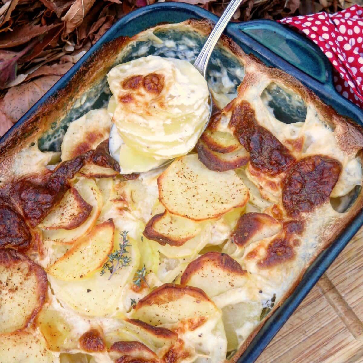 Jill_Colonna's tweet photo. Gratin Dauphinois (French Creamy Potato Bake) - it's a classic side dish but this recipe is extra special with an optional hint of smoked tea - try it with salmon or turkey! https://t.co/ooRRXVQBRB
#potatoes #gratindauphinois #Frenchrecipe https://t.co/RTNywC6lMU