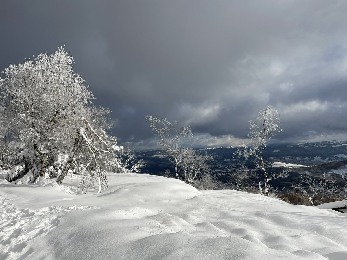 Děčínský Sněžník (německy Hoher Schneeberg), 724 mnm dělá konečně čest svému jménu.