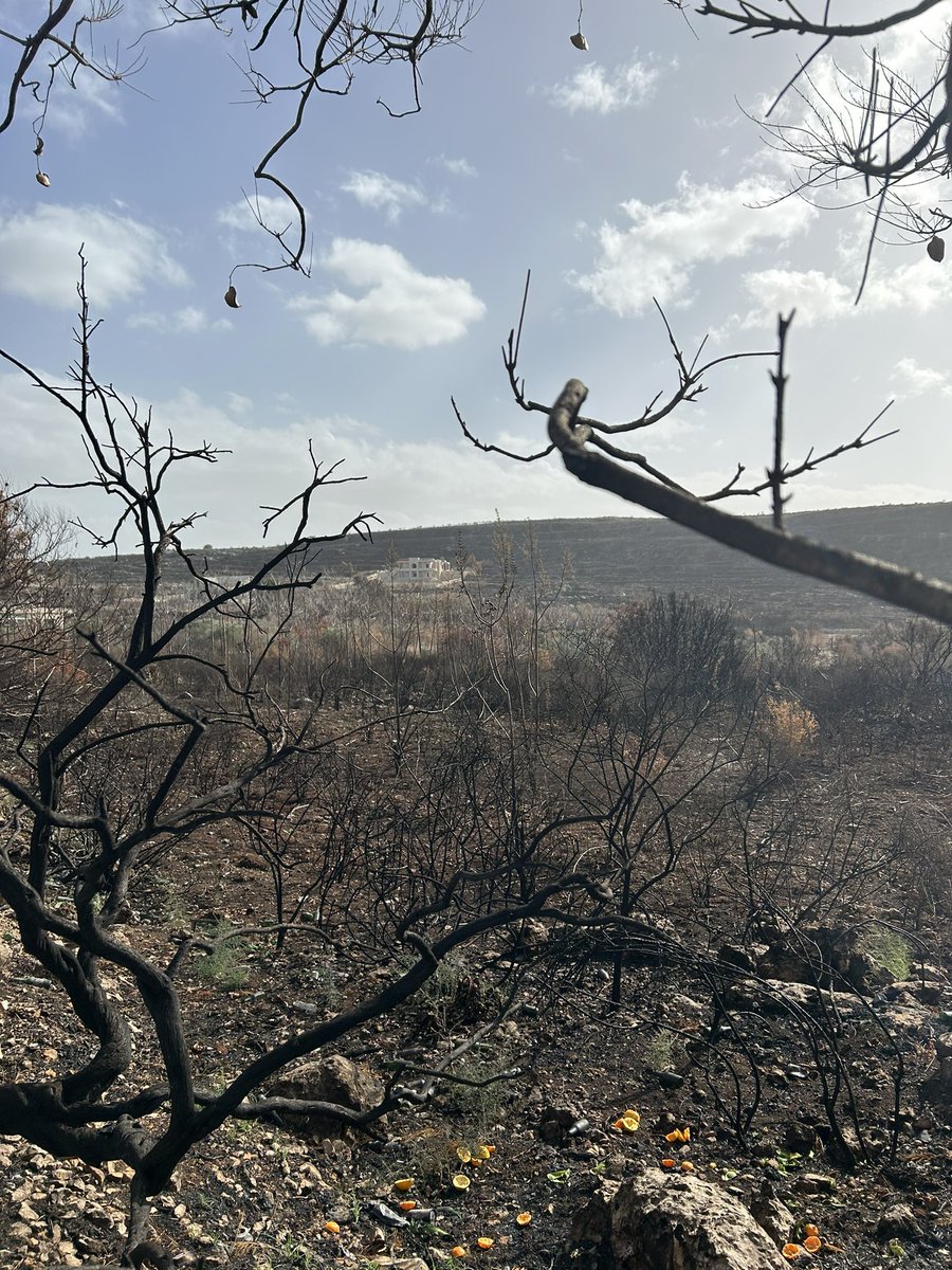 ArthurSarradin's tweet photo. 🇱🇧 Au Sud Liban, l’occasion pendant la trêve d’observer l’impact des frappes aériennes israéliennes sur les champs et les habitations de la région. https://t.co/xaE4kHXMq2