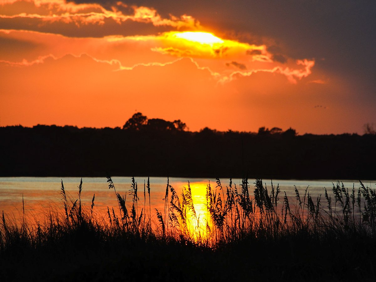 FLStateParks's tweet photo. #SunscapeSunday 🌟

Change your latitude, change your attitude. Stunning scenery at 📍 Faver-Dykes State Park south of St. Augustine can do just that!
 
📷: Bobby Ashby
🌐: https://t.co/mJgn4GGwqT

#FLStateParks #FaverDykes #TheRealFlorida #GoOutdoorsFL #LoveFL https://t.co/fpjD01h5nt