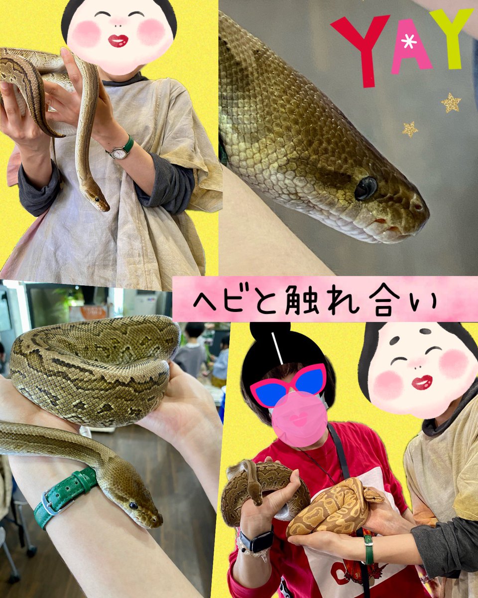 karikari_mihiro's tweet photo. @kitarepjp  さんへ友人と行って来た⤴︎⤴︎
触れ合える場所♥️ 
スタッフさんが、飼い方などを詳しく教えてくれて、めちゃ勉強なった✨
フレンドリーで良き🙆‍♀️
札幌来たら行ってみて✋
 #北のレプ舎  #ふれあい  #爬虫類 #リクガメ #ヘビ #もどき https://t.co/BCPtdbz3qg