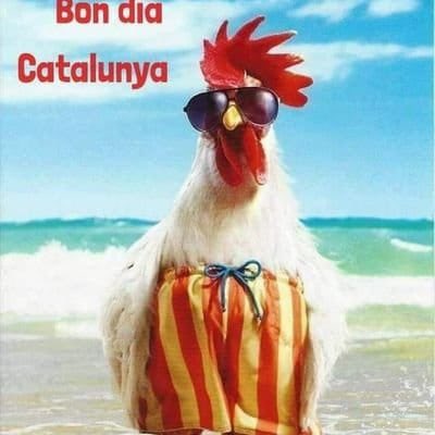 mediuenvalls's tweet photo. @CatalaTomeu https://t.co/BSPUt1gFgb