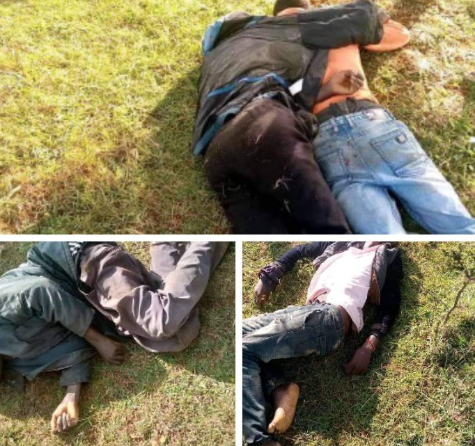 Goddie_Ke's tweet photo. NEWS UPDATE

Four men found wakiwa wamepelekwa sayun inside a land owned by KDF at Moi Barracks Eldoret

Allegedly, KDF Moi barracks, waliwamada for harvesting the remains of wheat https://t.co/oeurSKhz2Q