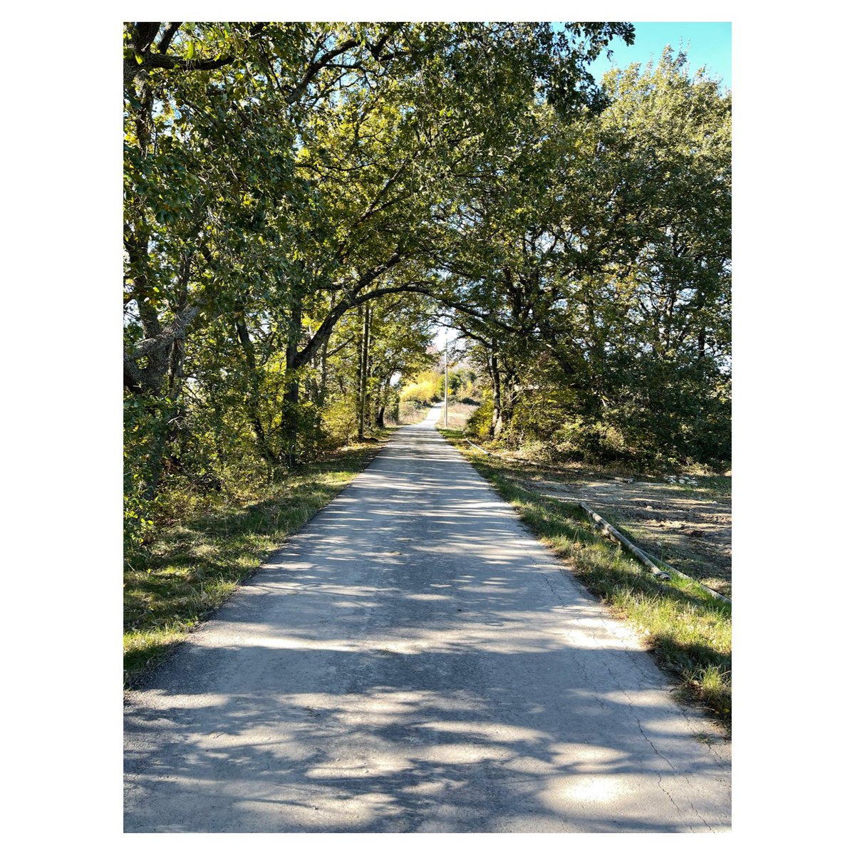 NDPL13's tweet photo. Un dimanche à la campagne
#puyricard #morningwalk #igersfrance #igersaixenprovence #landscape #landscapephotography #colorofnature #aixenprovence #aixmaville #wipplay #grainedephotographe #legoutdesfollowers #reponsesphoto #autumn #autumncolors #autumnphotography #picoftheday https://t.co/uGm8C4D6Hg