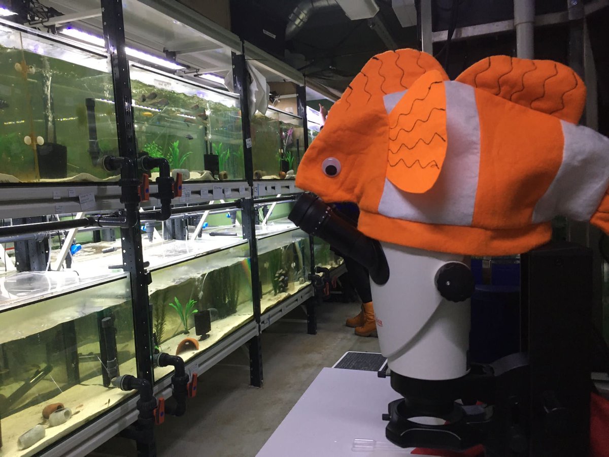 Integrative Evolutionary Biology tweet media