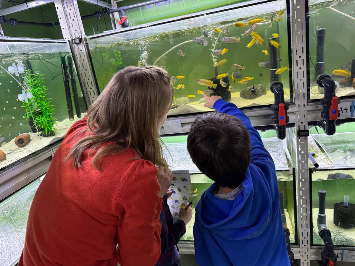 Integrative Evolutionary Biology tweet media