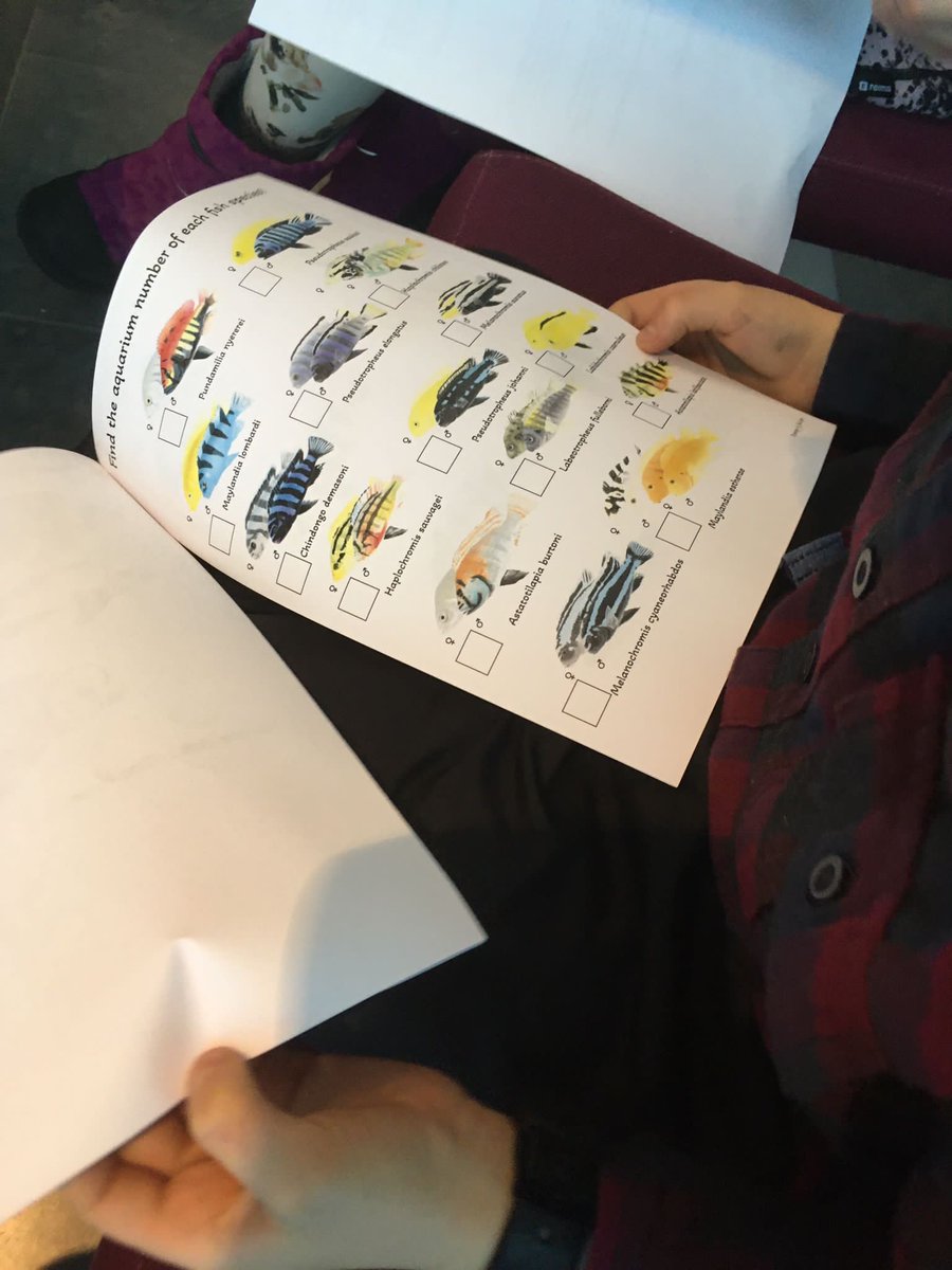 Integrative Evolutionary Biology tweet media