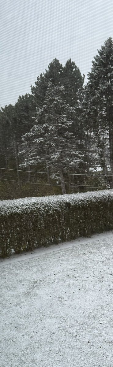 A little snow to start your morning.  Hope everyone has a great meeting. #RSNA23