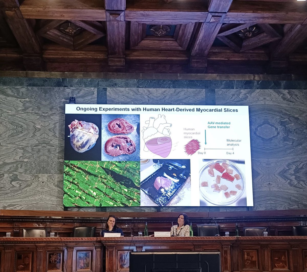 Monika Gladka (@monikagladka) on Twitter photo Happy to share our latest data at the #CBFH_2023 meeting in beautiful Naples! <a href="/escardio/">European Society of Cardiology</a> <a href="/sot/">sot</a> <a href="/Rocco_Caliandro/">Rocco Caliandro</a> <a href="/Sveva_Bollini/">Sveva.Bio</a> <a href="/C_Balbi90/">Carolina Balbi</a> <a href="/Mah_abdellatif/">Mahmoud Abdellatif</a> <a href="/AnkeMSmits/">Anke Smits</a> <a href="/FrancescoPaneni/">Francesco Paneni</a> Happy to share our latest data at the #CBFH_2023 meeting in beautiful Naples! <a href="/escardio/">European Society of Cardiology</a> <a href="/sot/">sot</a> <a href="/Rocco_Caliandro/">Rocco Caliandro</a> <a href="/Sveva_Bollini/">Sveva.Bio</a> <a href="/C_Balbi90/">Carolina Balbi</a> <a href="/Mah_abdellatif/">Mahmoud Abdellatif</a> <a href="/AnkeMSmits/">Anke Smits</a> <a href="/FrancescoPaneni/">Francesco Paneni</a>