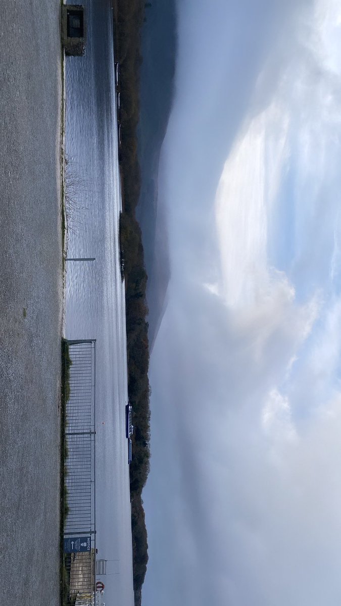 Katie foley tweet media